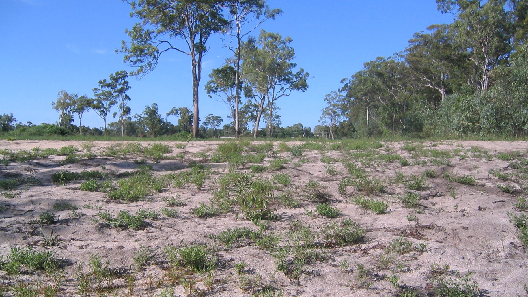 Cardwell Rural Subdivision RMA